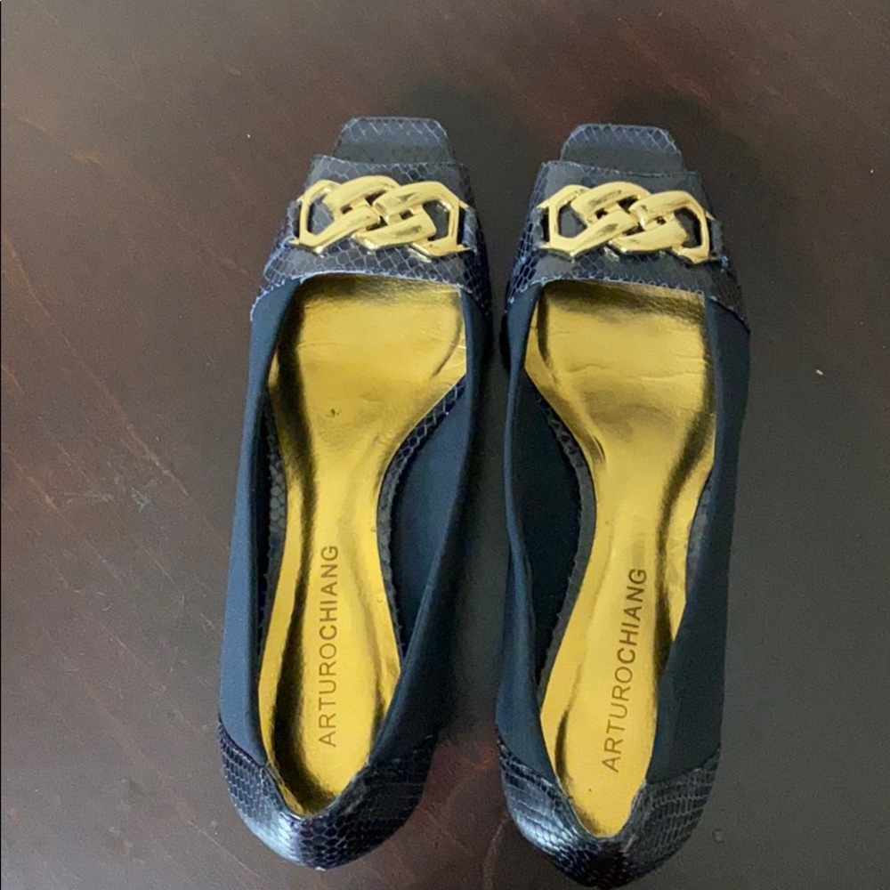 Arturo Chiang Open Toe Shoes